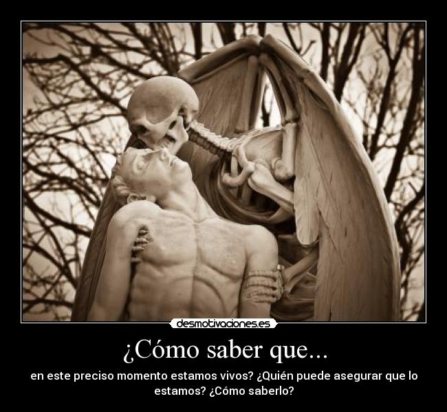 ¿Cómo saber que... - 