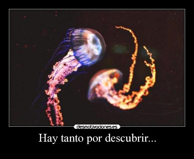 Hay tanto por descubrir... - 