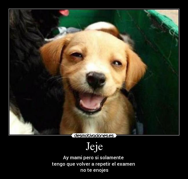 Jeje - Ay mami pero si solamente
tengo que volver a repetir el examen
no te enojes