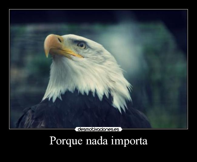 Porque nada importa -