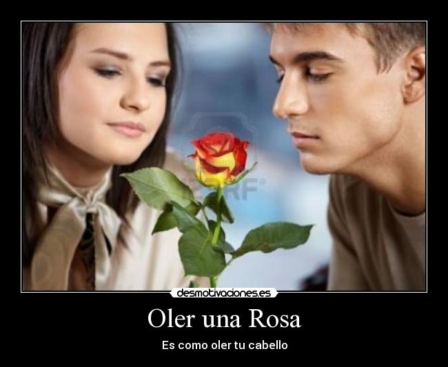 Oler una Rosa - Es como oler tu cabello