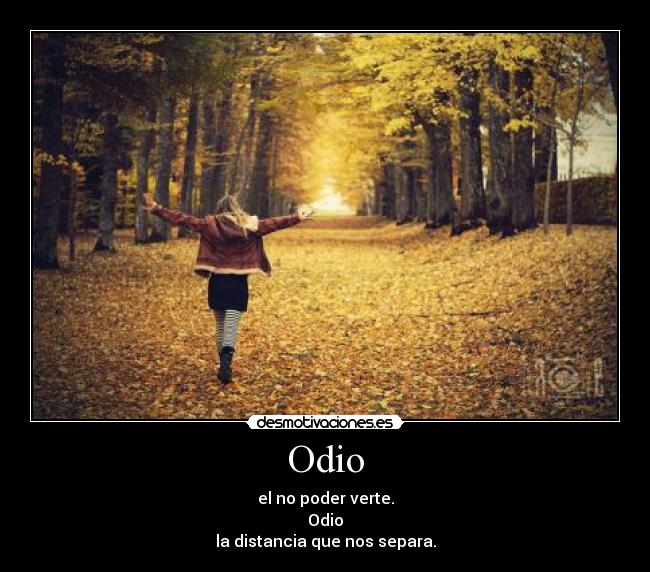 Odio - 