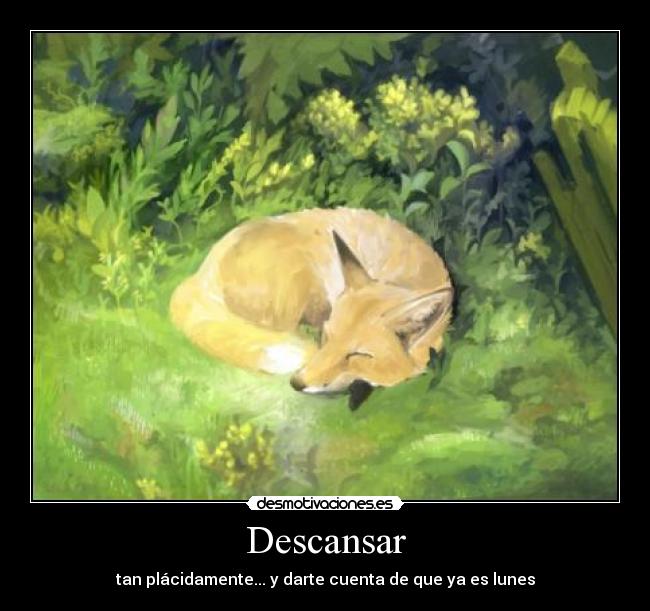Descansar -