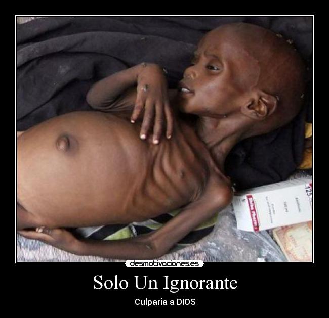 carteles facvebobbb desmotivaciones