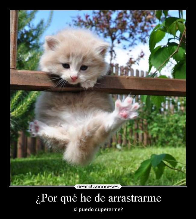 ¿Por qué he de arrastrarme - si puedo superarme?