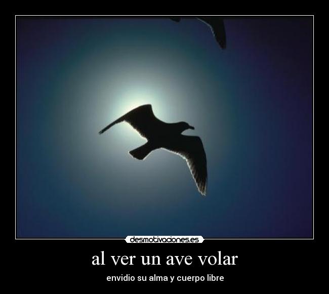 al ver un ave volar - envidio su alma y cuerpo libre