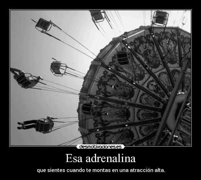 Esa adrenalina - que sientes cuando te montas en una atracción alta.