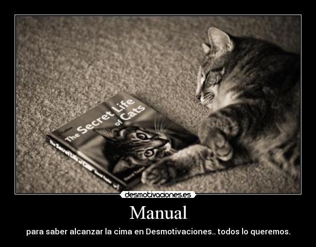 Manual - para saber alcanzar la cima en Desmotivaciones.. todos lo queremos.