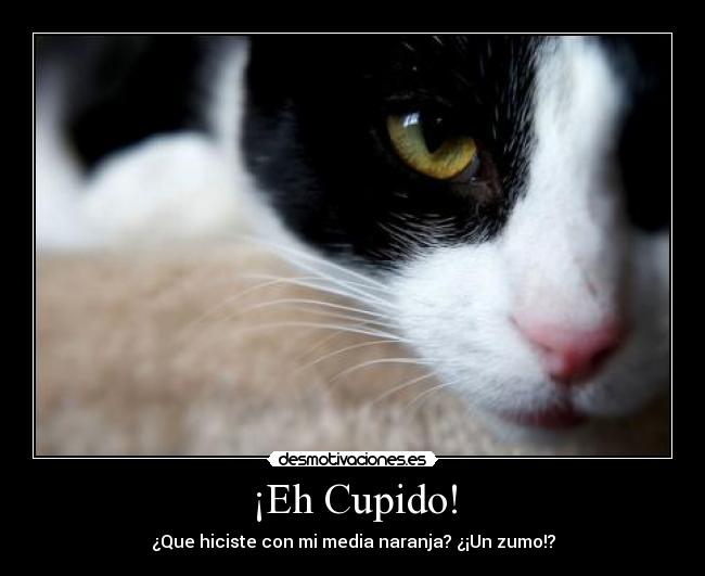 ¡Eh Cupido! - ¿Que hiciste con mi media naranja? ¿¡Un zumo!?