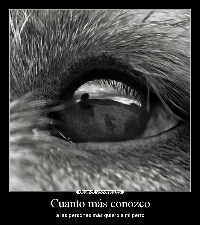 Cuanto más conozco -