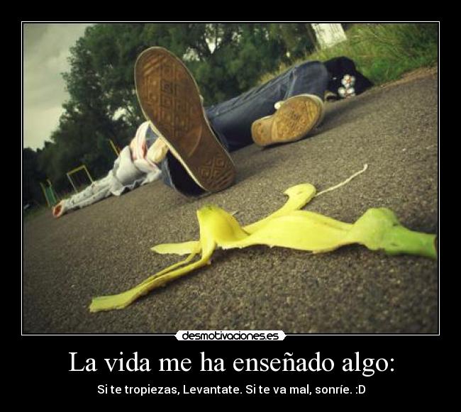 carteles vida vida ensenado algo desmotivaciones