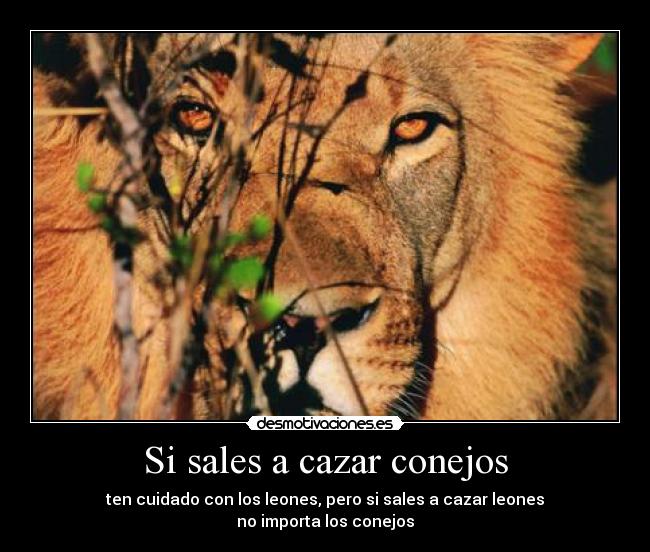 Si sales a cazar conejos - ten cuidado con los leones, pero si sales a cazar leones
no importa los conejos