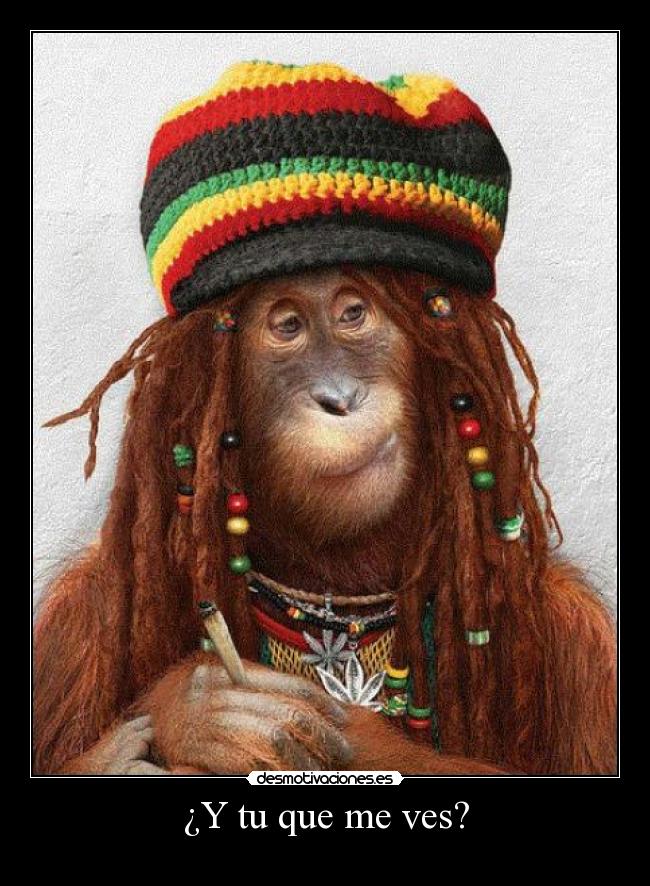 ¿Y tu que me ves? - 