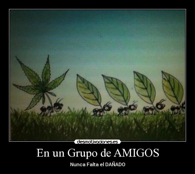 carteles amigos mayrix crizon desmotivaciones