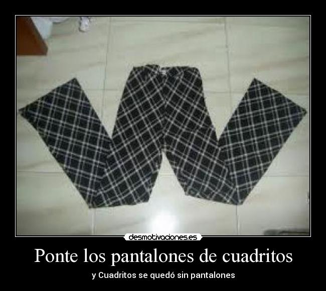 Ponte los pantalones de cuadritos - y Cuadritos se quedó sin pantalones