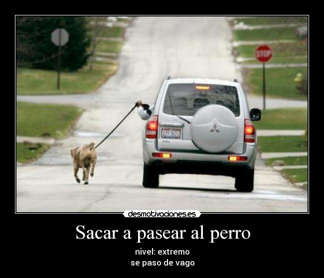 Sacar a pasear al perro -