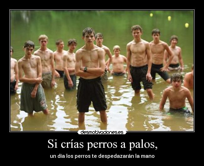 Si crías perros a palos, - 