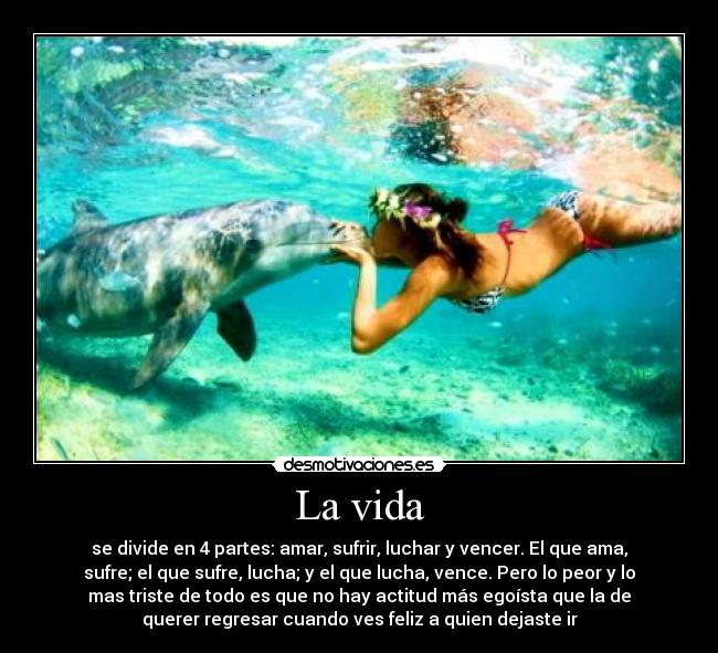 La vida - se divide en 4 partes: amar, sufrir, luchar y vencer. El que ama,
sufre; el que sufre, lucha; y el que lucha, vence. Pero lo peor y lo
mas triste de todo es que no hay actitud más egoísta que la de
querer regresar cuando ves feliz a quien dejaste ir