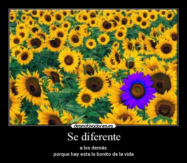 Se diferente - a los demás.
porque hay esta lo bonito de la vida