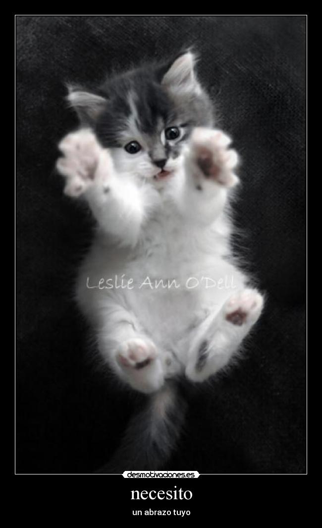 necesito - un abrazo tuyo