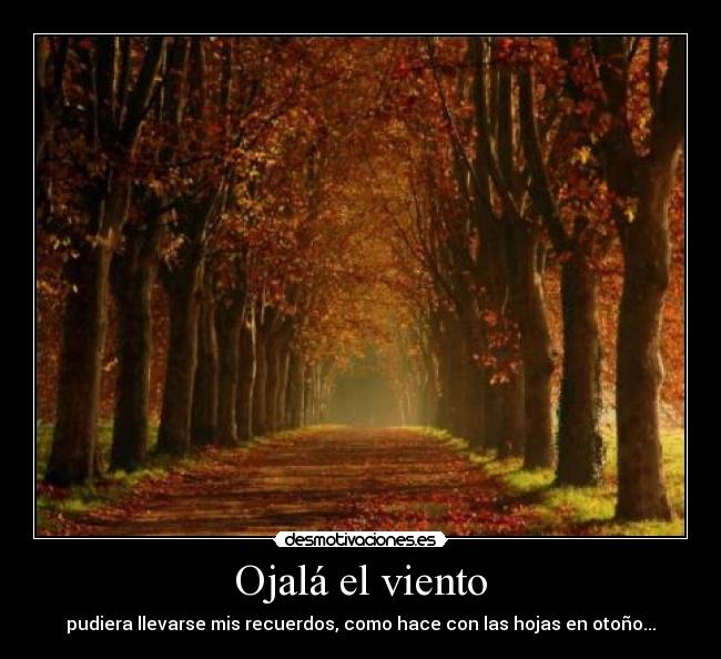 Ojalá el viento -