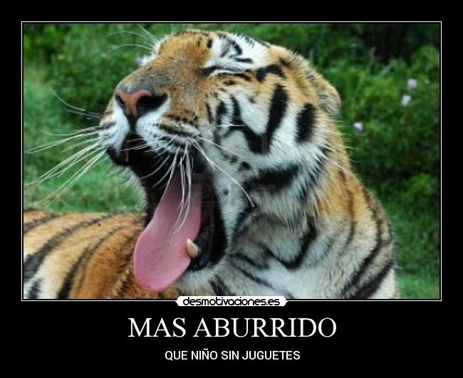 MAS ABURRIDO - QUE NIÑO SIN JUGUETES