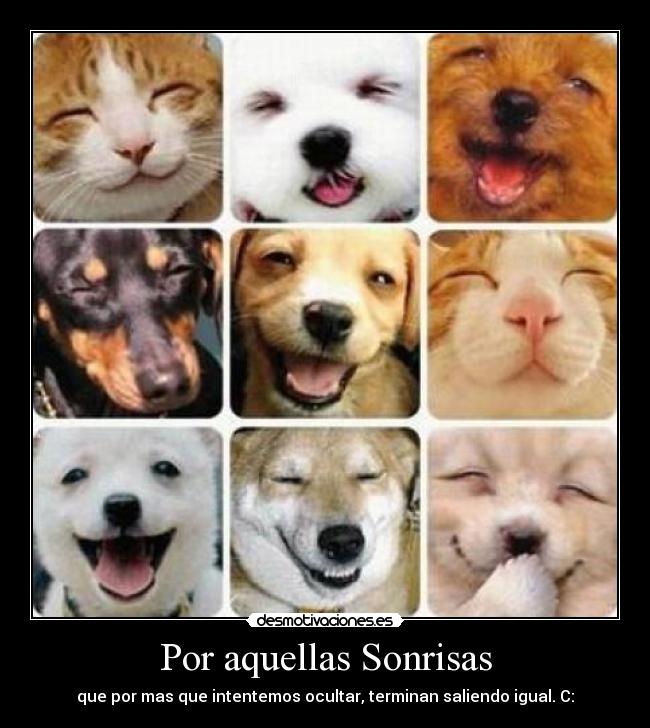 Por aquellas Sonrisas - que por mas que intentemos ocultar, terminan saliendo igual. C: