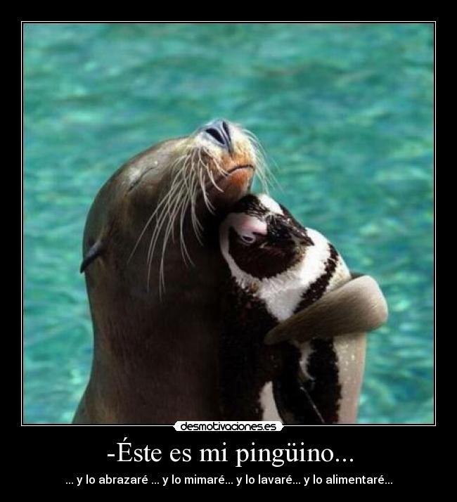 -Éste es mi pingüino... - ... y lo abrazaré ... y lo mimaré... y lo lavaré... y lo alimentaré...