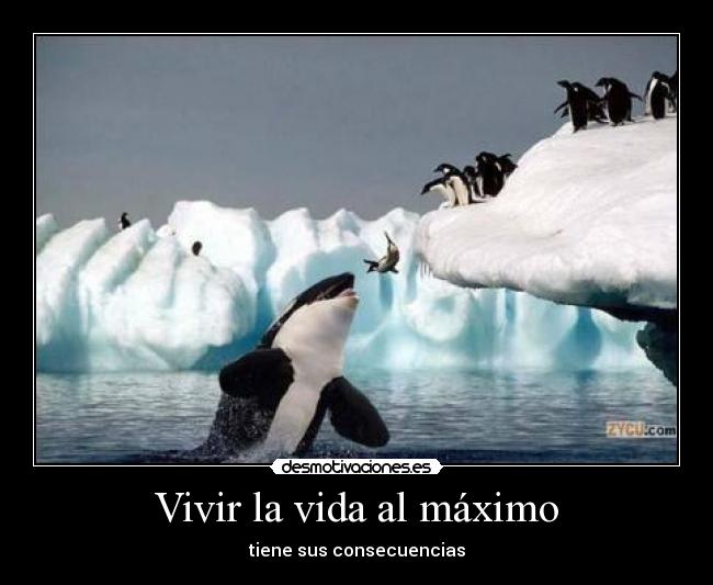 VIVIR VIDA MAXIMO vivir vida maximo: