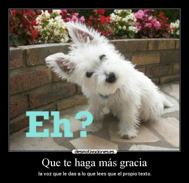 Que te haga más gracia - la voz que le das a lo que lees que el propio texto.