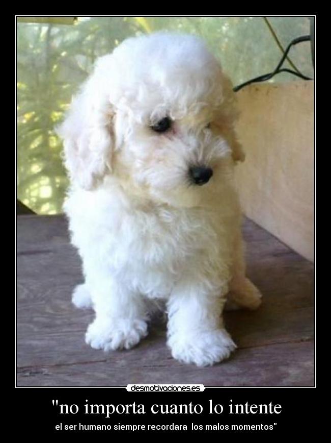 no importa cuanto lo intente - el ser humano siempre recordara  los malos momentos