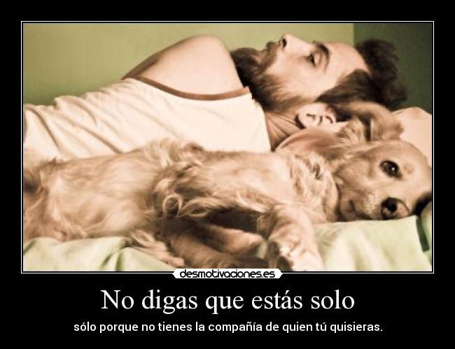 carteles bulma272 creo que voy tener que explicar punto punto punto desmotivaciones