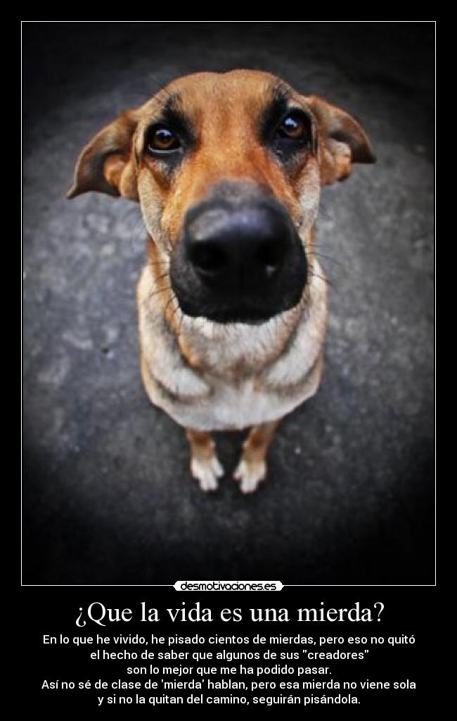 ¿Que la vida es una mierda? - En lo que he vivido, he pisado cientos de mierdas, pero eso no quitó
el hecho de saber que algunos de sus creadores
son lo mejor que me ha podido pasar.
Así no sé de clase de mierda hablan, pero esa mierda no viene sola
y si no la quitan del camino, seguirán pisándola.