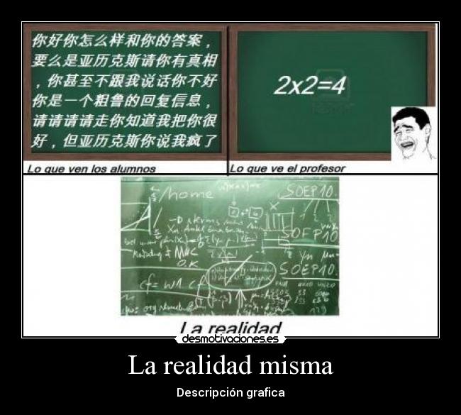 La realidad misma - Descripción grafica