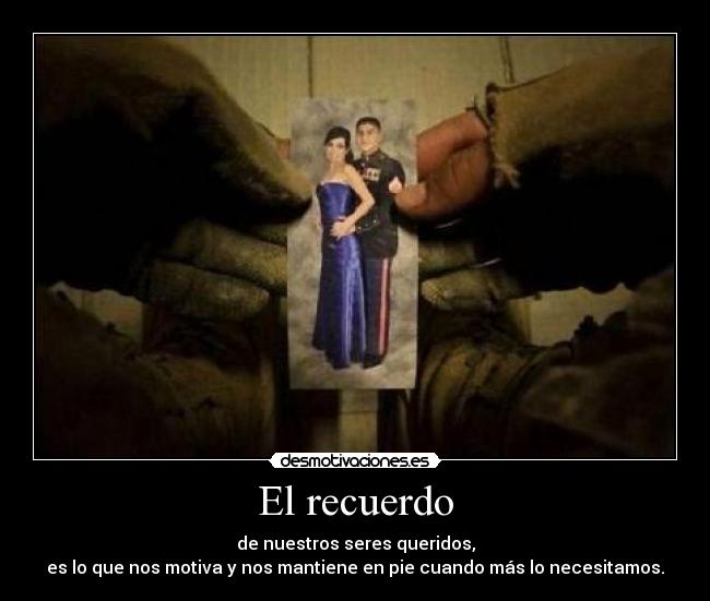 carteles malditos trolls desmotivaciones