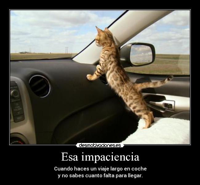 Esa impaciencia -
