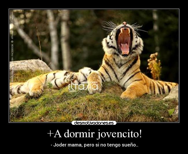 +A dormir jovencito! - - Joder mama, pero si no tengo sueño..