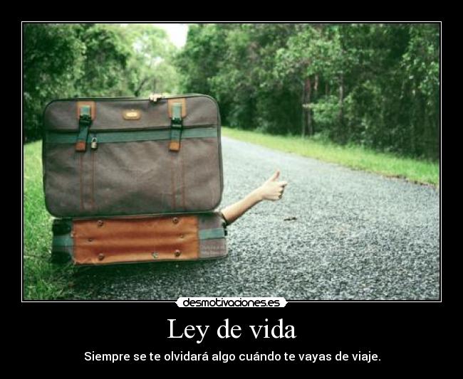 Ley de vida - Siempre se te olvidará algo cuándo te vayas de viaje.