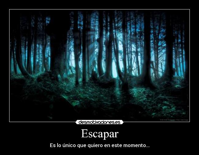 carteles escapar desmotivaciones