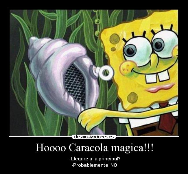 Hoooo Caracola magica!!! - 