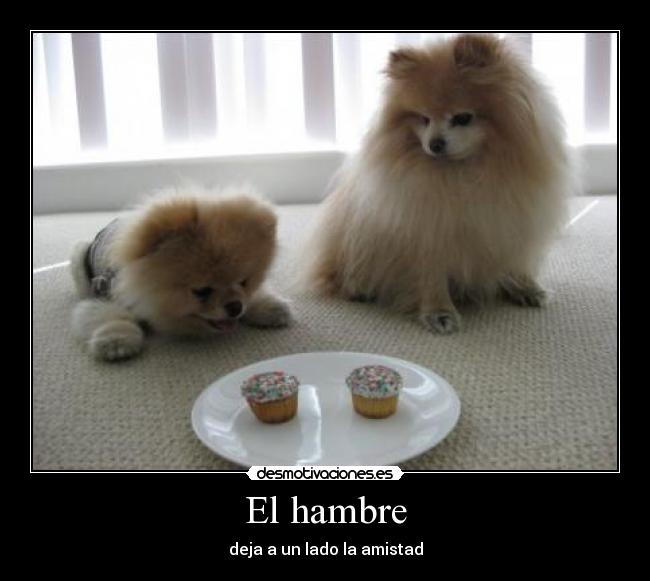 El hambre - deja a un lado la amistad