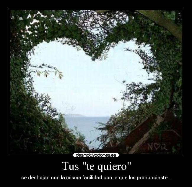 Tus te quiero - se deshojan con la misma facilidad con la que los pronunciaste...