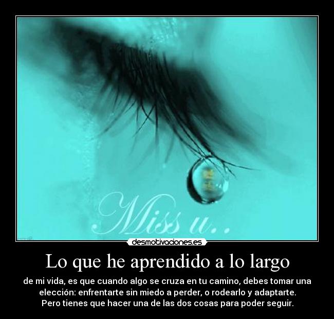 carteles que aprendido largo desmotivaciones