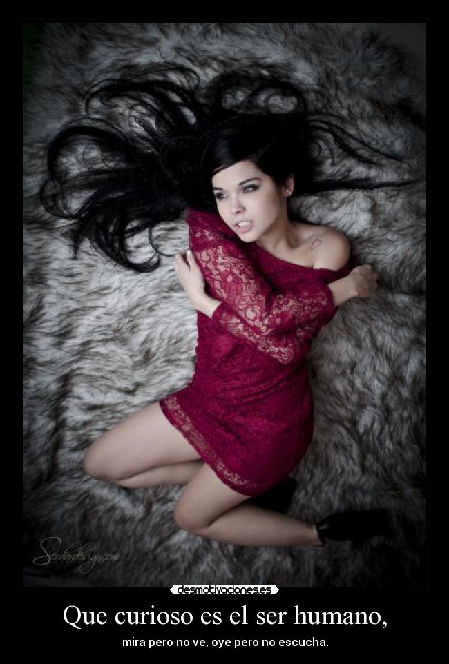 Que curioso es el ser humano, -
