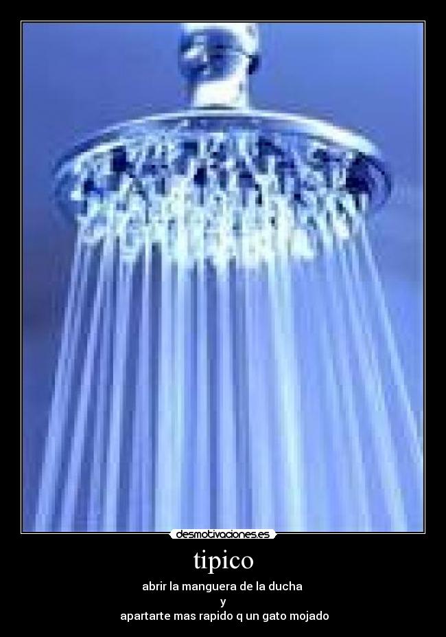tipico -