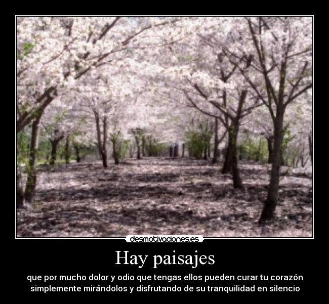 Hay paisajes - que por mucho dolor y odio que tengas ellos pueden curar tu corazón
simplemente mirándolos y disfrutando de su tranquilidad en silencio