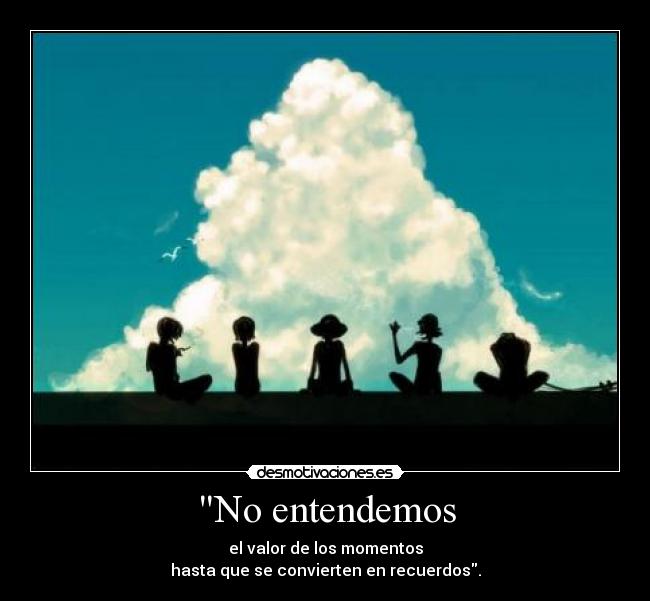 No entendemos -