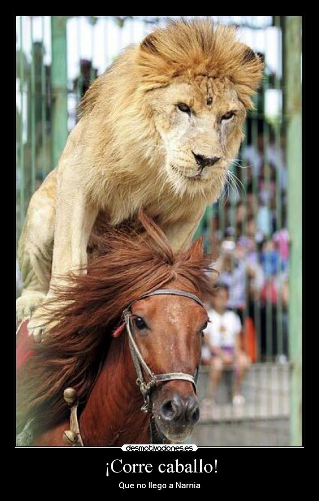 ¡Corre caballo! -