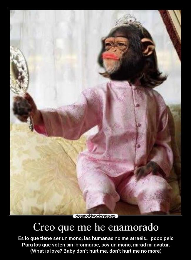 Creo que me he enamorado - Es lo que tiene ser un mono, las humanas no me atraéis... poco pelo
Para los que voten sin informarse, soy un mono, mirad mi avatar.
(What is love? Baby dont hurt me, dont hurt me no more)