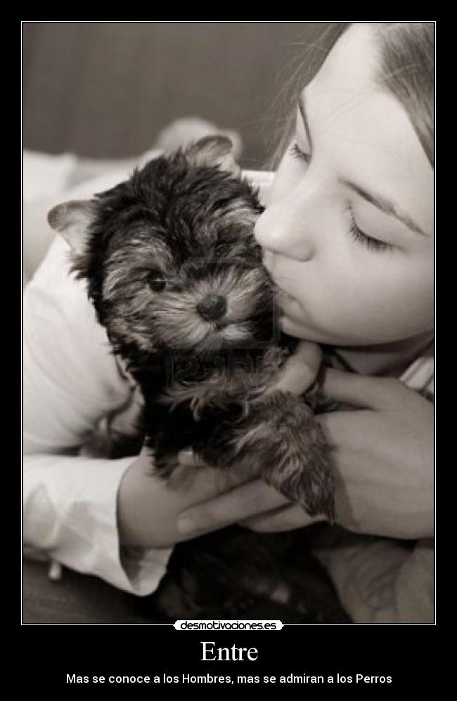 Entre - Mas se conoce a los Hombres, mas se admiran a los Perros